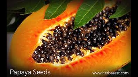 19 Amazing PAPAYA SEEDS Health Benefits For Liver, Gut & Kidneys | Cleanse With Papaya Seeds