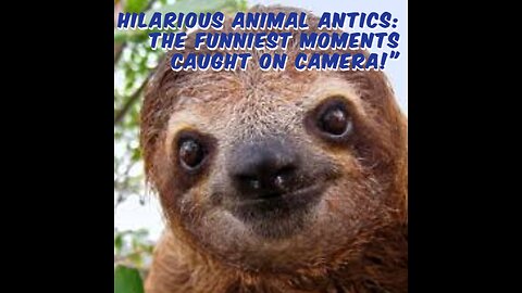 "Hilarious Animal Antics: The Funniest Moments Caught on Camera!"