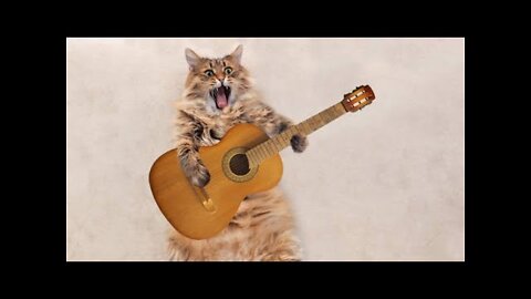 Cute Cat Singing Ah Aaaaa aa | Cute Animal Videos | Full Screen Whatsapp Status |