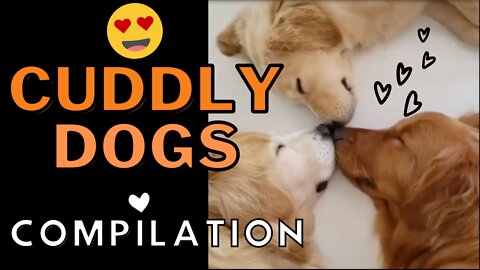 Dogs Cuddling Compilation - An Overdose of Adorable Puppies Snuggling