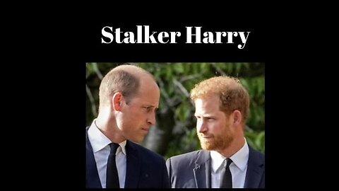 Video 2: Is Harry A Stalker?