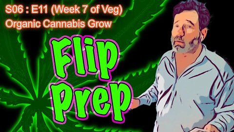 S06 E11 (Day #71) Week 7 of Veg || Caring for a Runt || BlueMat Soil Meter