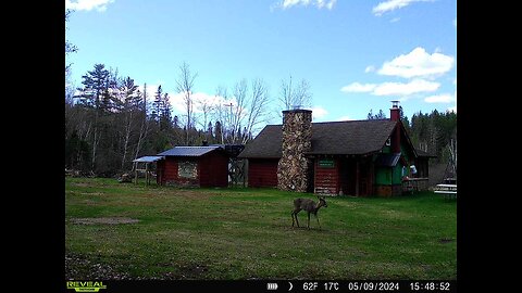 Boomers renovating a 70 year old cabin.