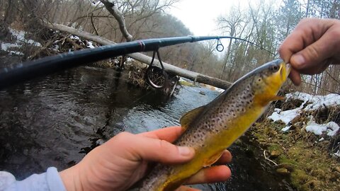 TROUT Fishing Adventures in the DRIFTLESS