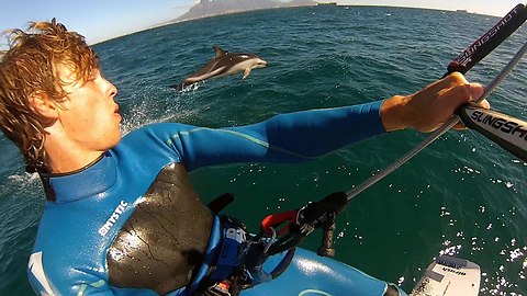 Caught On Camera: Playful Pod Of Dolphins Leap Along With Kitesurfer