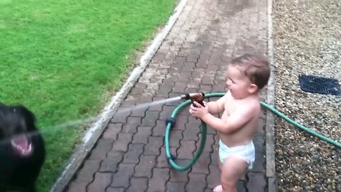 Babies laughing at the pets