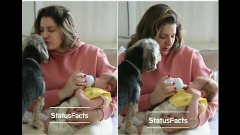 Baby and dog always sleep in one room - Then her mother saw something