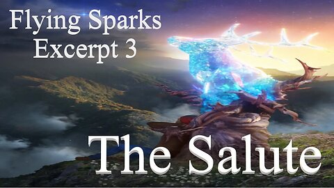 The Salute - Excerpt 3 - Flying Sparks - A Novel – From One Soldier to Another Across Worlds