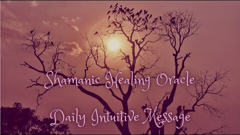 The Shamanic Healing Oracle ~ Daily Intuitive Message