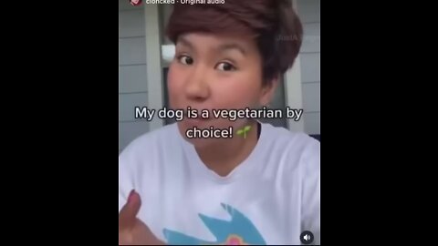 my dog is a vegitarian by choice