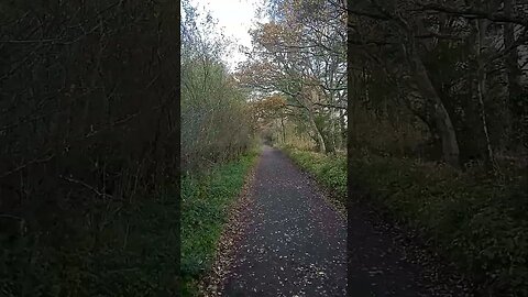 Autumnal Quiet Lane Walk the Knot man #nature