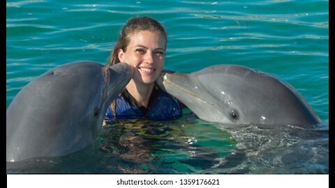 Dolphin 🐬🐬 kiss 😘😘 video // please watch video