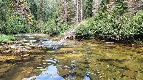 Pristine small stream