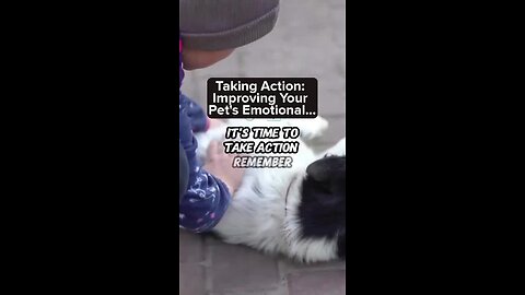 Taking_Action__Improving_Your_Pet_s_Emotional_Health_#petcareadvice_#dogowner_#pets_#petowner(360p)