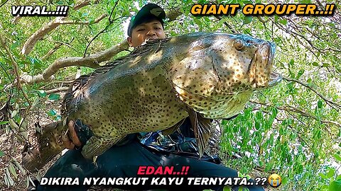 Fishing for white snapper but instead attacked by monster grouper until overwhelmed || Indonesia