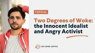 Two Degrees of Woke: The Innocent Idealist and Angry Activist