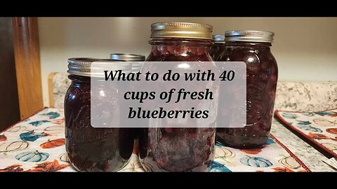 What to do with 40 cups of fresh blueberries #canning #dehydrating #freezing