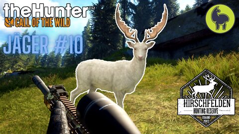 Jäger #10 Hirschfelden | theHunter: Call of the Wild (PS5 4K)