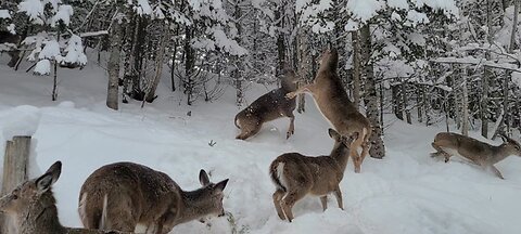 Everyone is out after the snowstorm