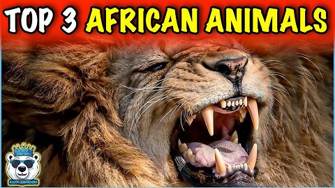 Uncover Africa s Iconic Wildlife: Big Cats & More! 🦁🐘