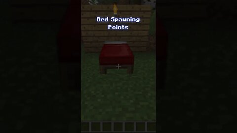 Minecraft Facts - “Chapter 24 - Bed Spawning Points”