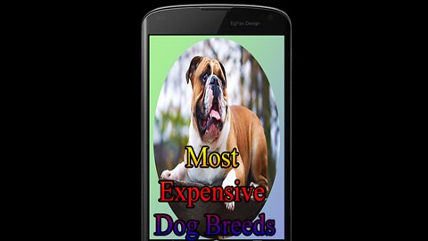 Expensive brain training dogs