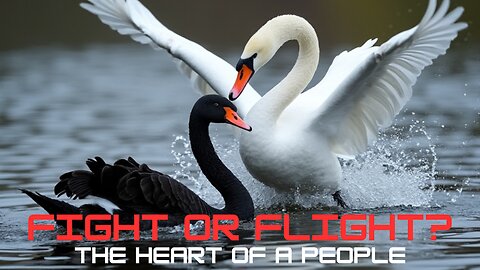 Fight or Flight: A heart of the people 9.27.2024 (Episode: 6)