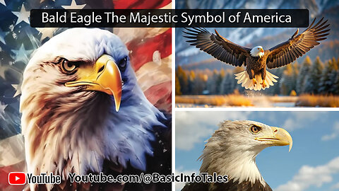 Bald Eagle The Majestic Symbol of America Facts & Secrets