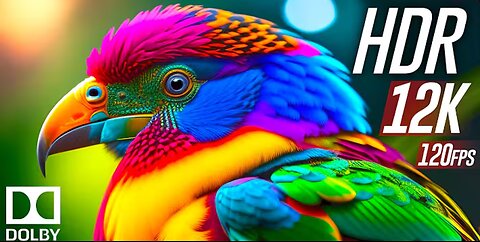 Colorful Birds in 4K - Planet Earth 4K _ Beautiful Bird Sounds Nature Relaxation