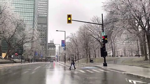 Montréal Trees Covered with Ice Glass