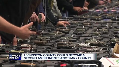 Livingston County could become a Second Amendment sanctuary county