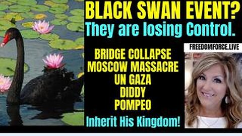 Black Swan - Bridge Collapse, Diddy, Moscow, Assange -Kingdom 3-26-24