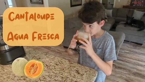 Cantaloupe Agua Fresca | Melon Fruit Juice