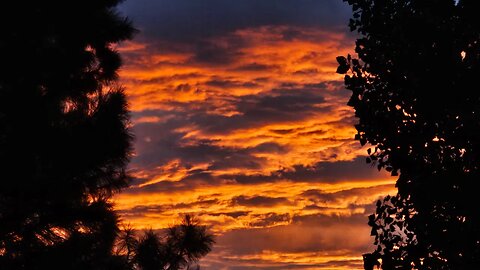 Summer Sunset. Drone timelapse footage of a sweet sunset. ArtForOUR.org