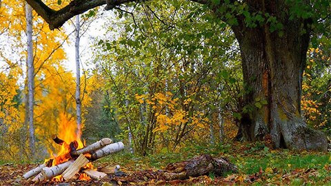 Nature, bonfire and peace