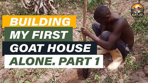 Building My First Goat House Alone Part 1 | ep4 #goatfarming #goats