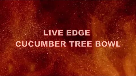 LIVE EDGE CUCUMBER TREE BOWL