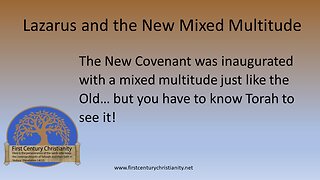 Lazarus and the New Mixed Multitude