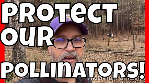 Protect Our Pollinators Part 4 | MORE Best Plants for Pollinators | AldermanFarms