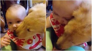 Puppy cleans up baby after food