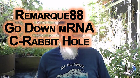 Check Out Remarque88 if You Want To Go Down the Rabbit Hole [SEE LINKS]