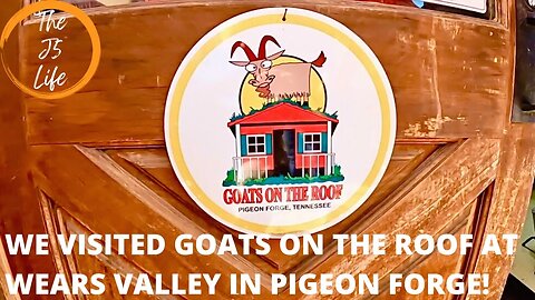 We Visited Goats On The Roof At Wears Valley In Pigeon Forge, TN!