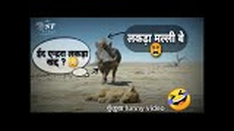 हंसी नही रुकेगी🤣😂new kurukh funny video fully kurukh debbed