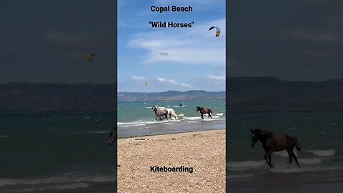 Copal Beach, Costa Rica, Kiteboarding with horses roaming