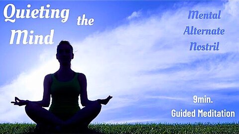 Quieting the Mind: 9 Minute Guided Meditation