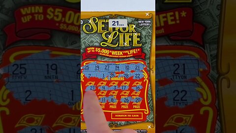 3 WINNERS 1 Ticket! #newyorklottery #setforlife #scratchers #scratchofftickets #fun #shorts #viral