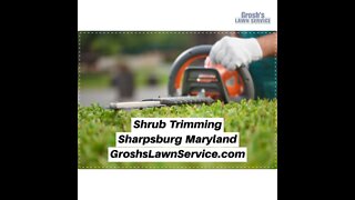 Shrub Trimming Sharpsburg Maryland Landscape The Best