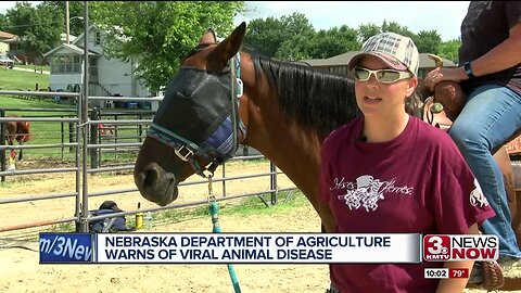 Nebraska Department of Agriculture warns of viral animal disease