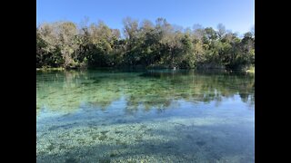 ALEXANDER SPRINGS FLORIDA SCUBA