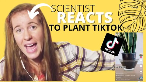 Plant TikTok Reaction Video. Soil Scientist React To Houseplant TikToks | Gardening In Canada